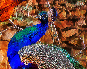 Image showing 3D Fantasy Illustration of a Peacock