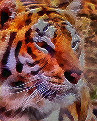 Image showing 3D Fantasy Illustration of Tiger Face