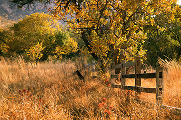 Image showing Old Wooden Farm Fence