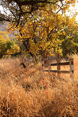 Image showing Old Wooden Farm Fence
