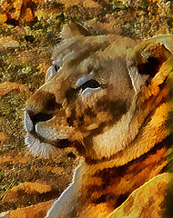 Image showing 3D Fantasy Illustration of a Lioness Face