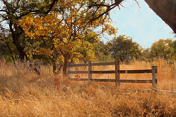 Image showing Old Wooden Farm Fence