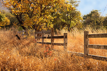 Image showing Old Wooden Farm Fence