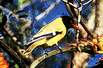 Image showing Yellow Bird