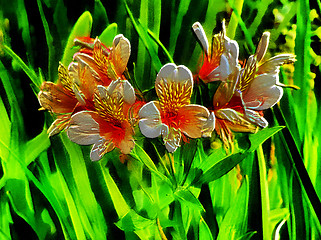 Image showing 3D Orange Leave Lily with Brown Spots