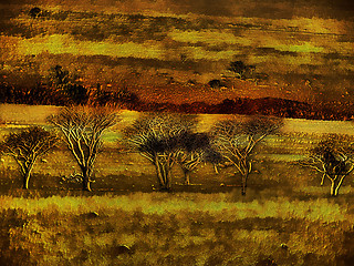 Image showing 3D Bare Trees in Nature