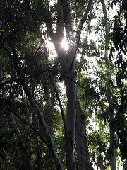 Image showing Hidden sun. Nicosia. Cyprus