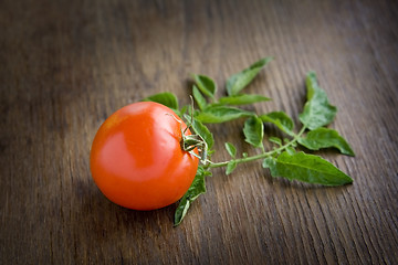 Image showing Tomato