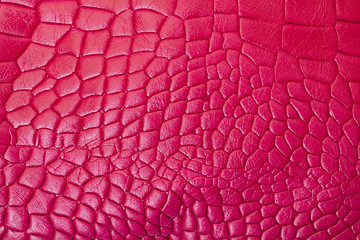 Image showing Textured pink leather