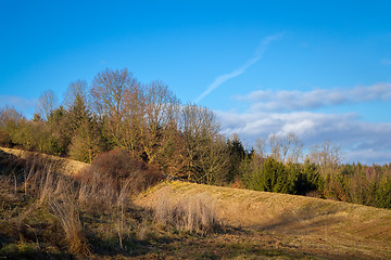 Image showing Autumn landscape with forest and blue sky