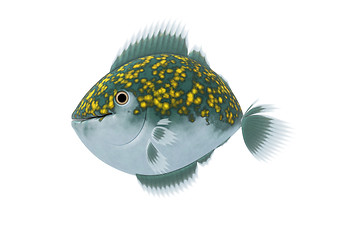 Image showing fish graphic