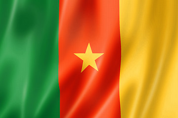 Image showing Cameroon flag