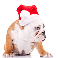 Image showing curious little santa puppy