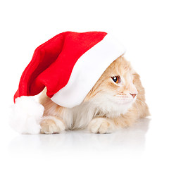 Image showing cat wearing a santa hat and looking to a side