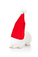 Image showing rabbit wearing a santa hat