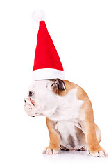 Image showing bulldog wearing a santa big hat