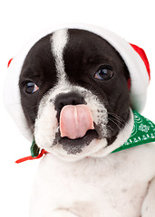 Image showing cute little santa licking its nose