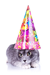 Image showing cute cat wearing a party hat