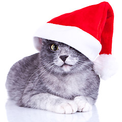 Image showing adorable little kitty with a santa cap 