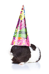 Image showing guinea pig wearing a party hat 