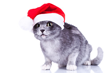 Image showing curious cute cat wearing a santa hat 