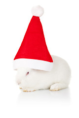 Image showing white rabbit wearing a santa hat 