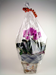 Image showing Flower gift