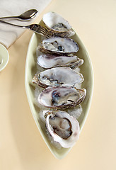 Image showing Oysters Natural