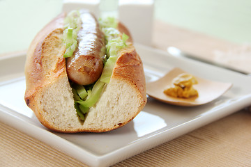 Image showing Pork And Cabbage Hot Dog