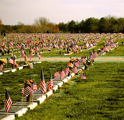 Image showing Veterans' Cemetary