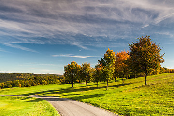 Image showing On the golf course 