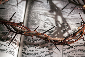 Image showing This is a crown of thorns