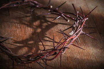 Image showing This is a crown of thorns