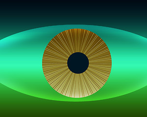 Image showing Natures Golden Eye in Natural Colors