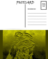 Image showing Empty Blank Postcard Template Collie Dog Image 