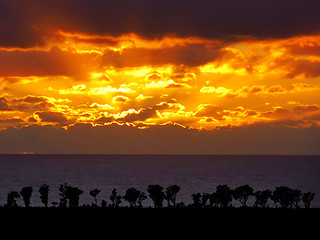 Image showing Sea Sunset with Nature Silhouette