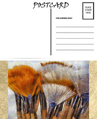 Image showing Empty Blank Postcard Template Artist Brushes Image 