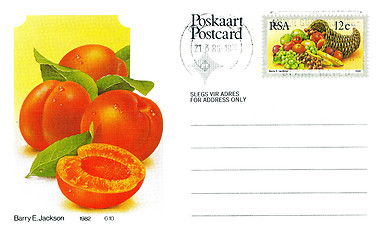 Image showing South Africa Postage Fruit Postcard with Printed Stamp 1982