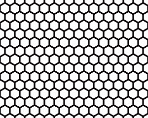 Image showing Black Wire Mesh 