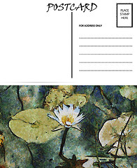 Image showing Empty Blank Postcard Template Water Lilly Image 