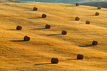 Image showing strohballen | straw bale