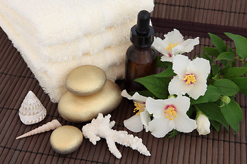 Image showing Luxury Spa Treatment