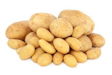 Image showing Potato Selection