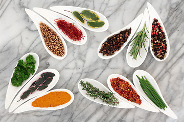 Image showing  Spices and Herbs