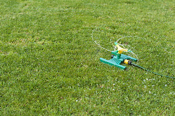 Image showing Lawn sprinkler over green grass