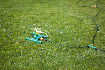 Image showing Lawn sprinkler over green grass