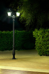 Image showing Night picture of the lamp in the park