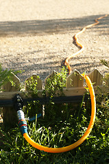 Image showing Garden watering hose