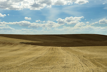 Image showing Agricultural land