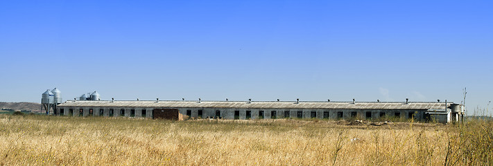 Image showing Farm for growing pigs